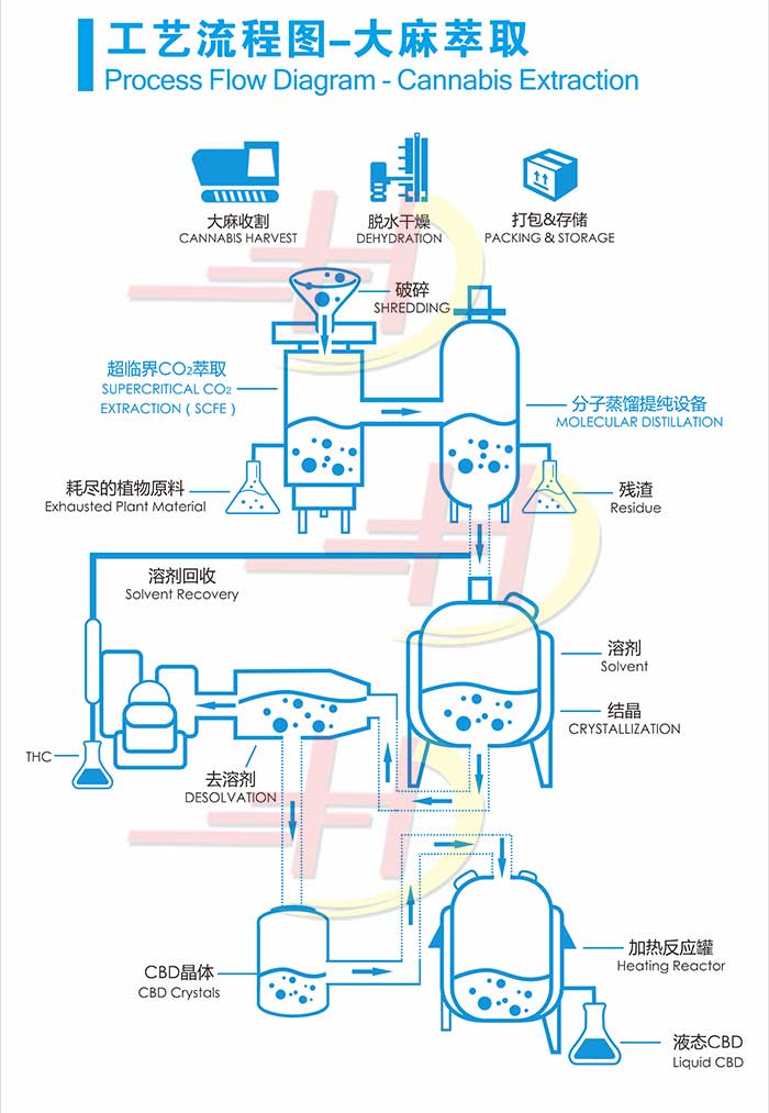 大麻提取流程