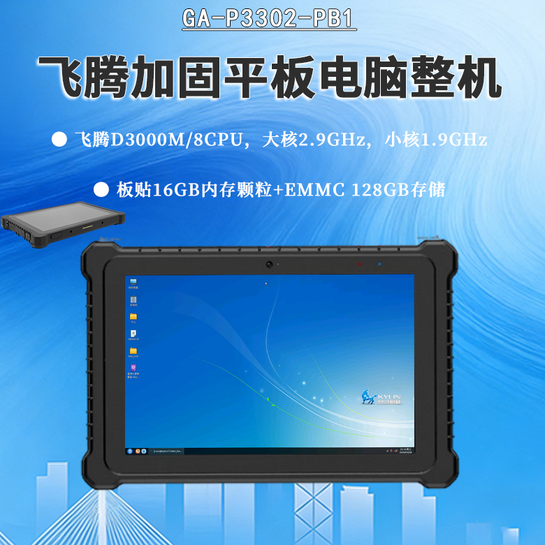 D3000M飛騰加固平板電腦P3302-PB1(圖1)